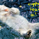 Illustration for article titled This Soft Bear Enjoying An Ice Cake with Frozen Fruit Reminds Me of Harry Styles